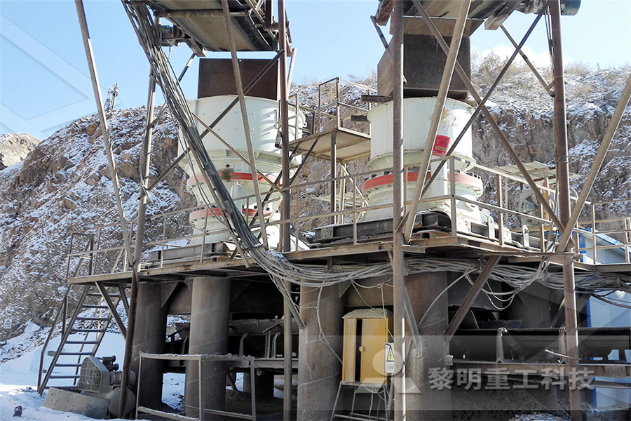 froth flotation of ore beneficiation  r